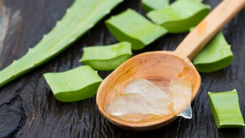 Can Aloe Vera Gel be Used as a Moisturizer